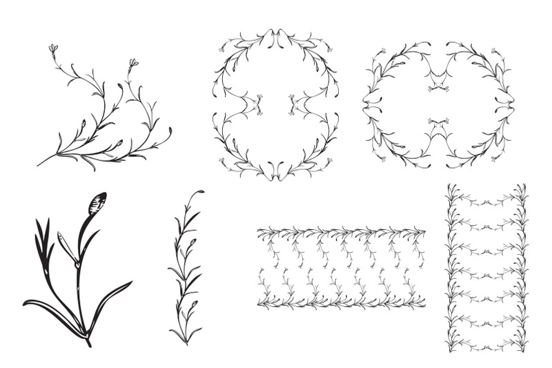 botanical-hand-drawn-floral-frames-vintage-flowers-borders-wildflowe