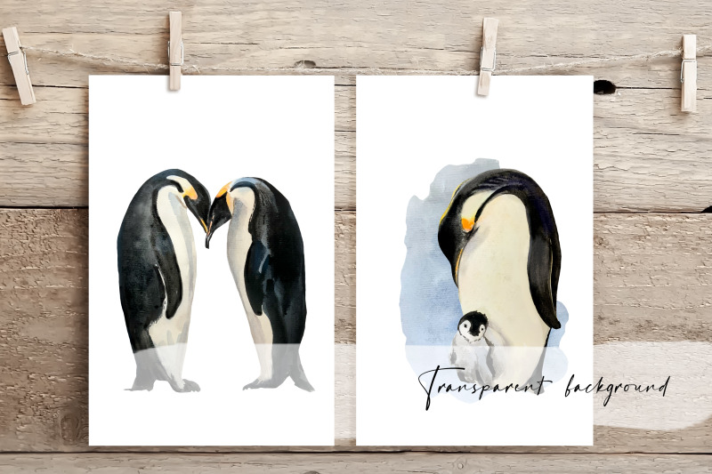 watercolor-penguin-life-cycle-and-clip-arts