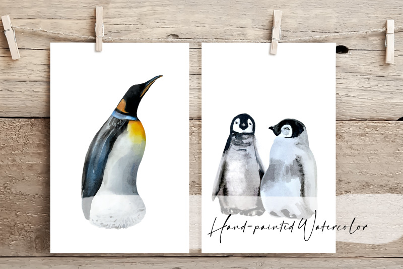 watercolor-penguin-life-cycle-and-clip-arts