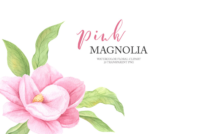 watercolor-magnolia-flower-clipart-png