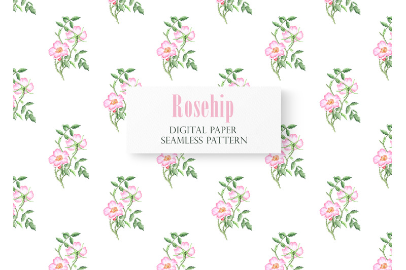 rosehip-watercolor-seamless-pattern-digital-paper-blooming-flower