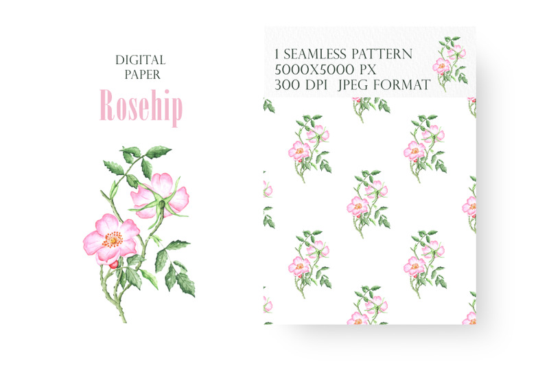 rosehip-watercolor-seamless-pattern-digital-paper-blooming-flower