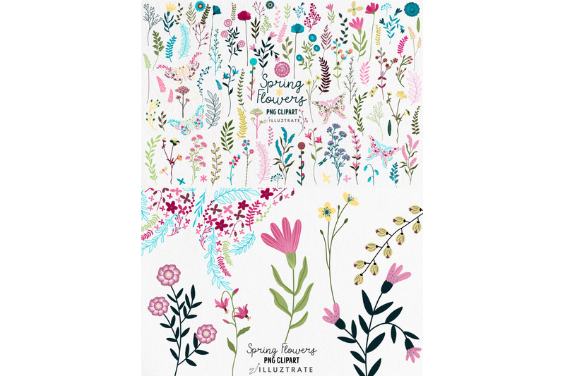 spring-flowers-png-clipart-wild-flowers-clipart