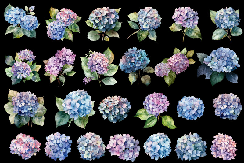 hydrangea-clipart-blue-watercolor-flowers