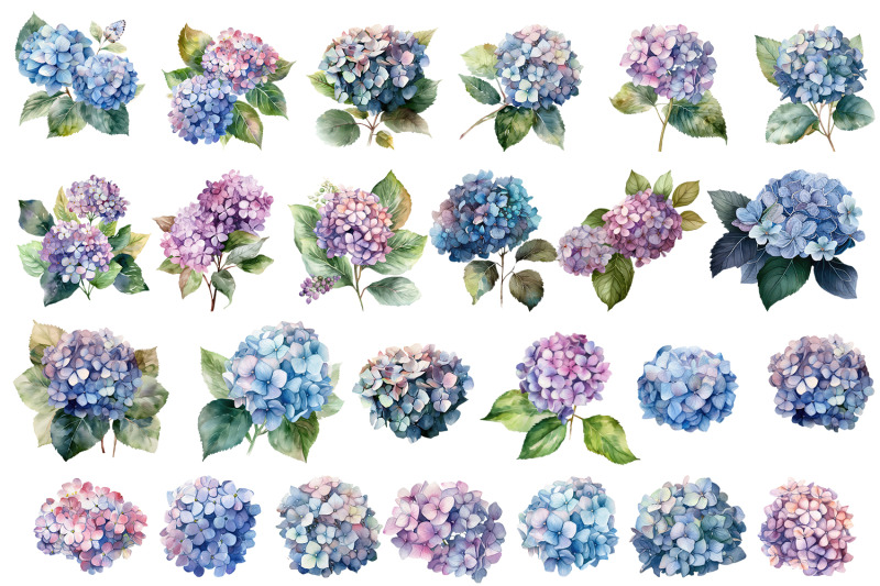 hydrangea-clipart-blue-watercolor-flowers