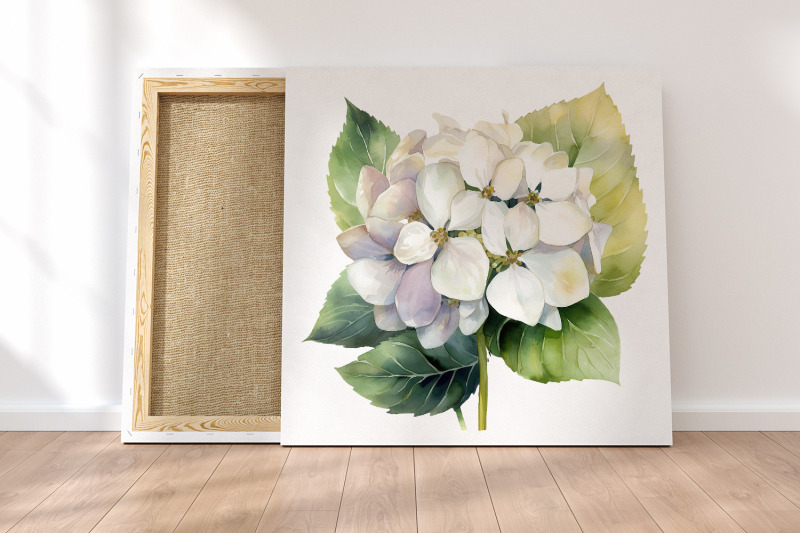 hydrangea-clipart-white-watercolor-flowers