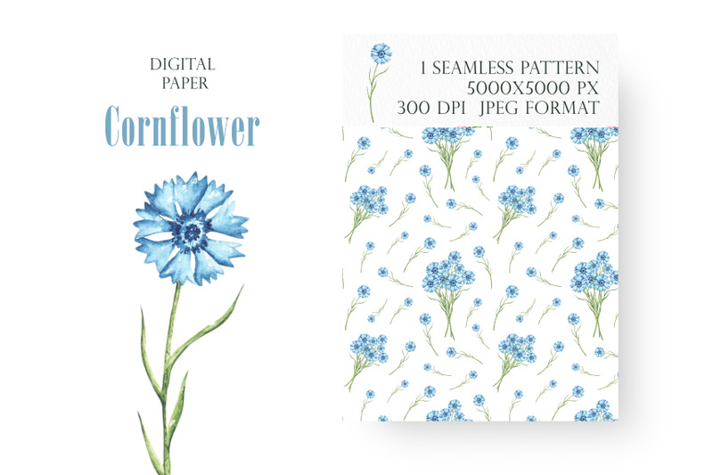 cornflowers-watercolor-digital-paper-seamless-pattern-wildflowers