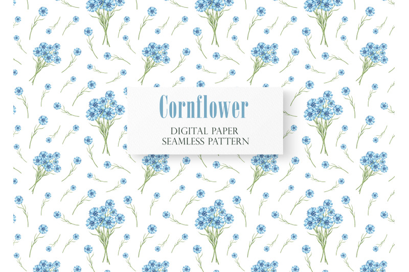 cornflowers-watercolor-digital-paper-seamless-pattern-wildflowers