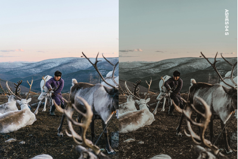 tundra-lightroom-presets-and-luts