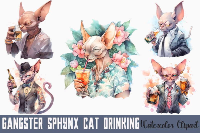 gangster-sphynx-cat-drinking-bundle