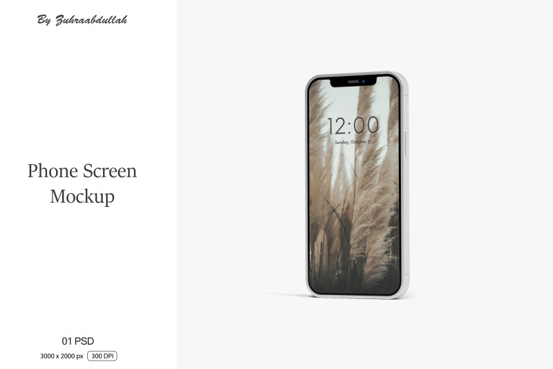 phone-screen-mockup