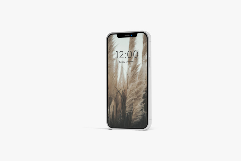 phone-screen-mockup