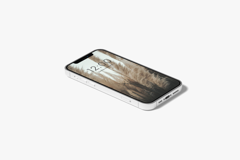 phone-screen-mockup