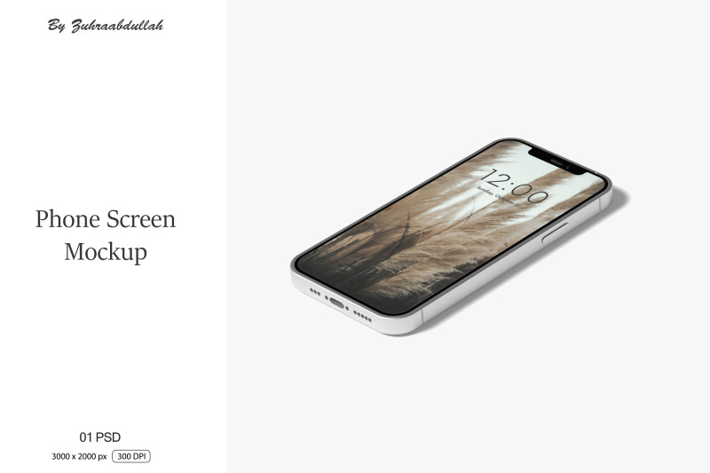 phone-screen-mockup