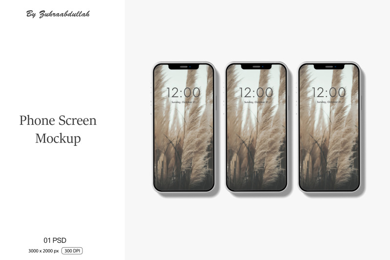 phone-screen-mockup