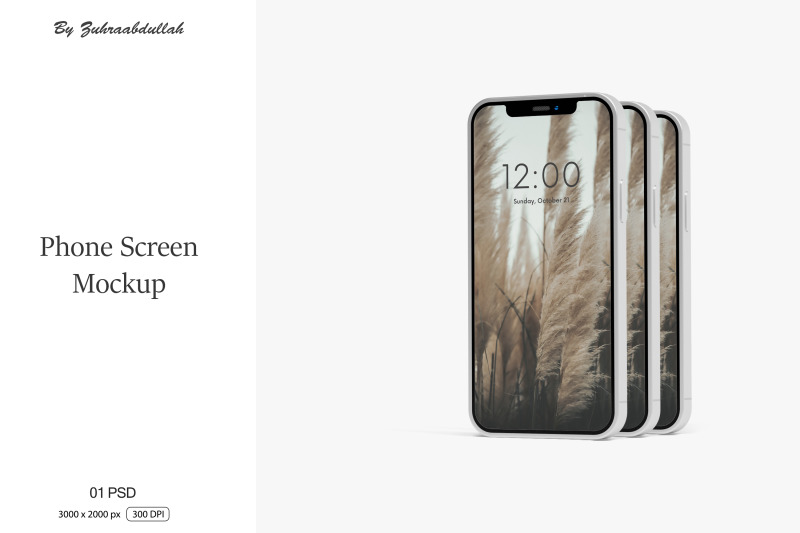 phone-screen-mockup