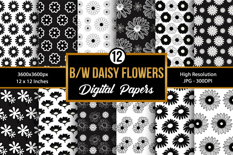 black-and-white-daisy-flowers-digital-papers