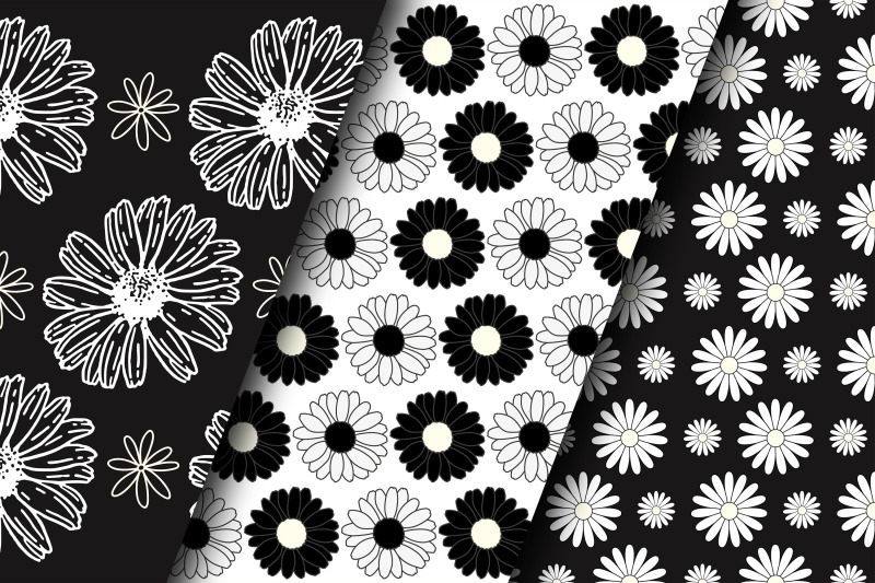 black-and-white-daisy-flowers-digital-papers