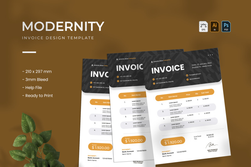 modernity-invoice