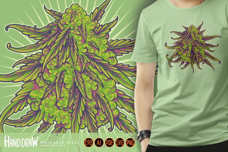 cannabis-indica-buds-strain-botanical-logo-illustrations