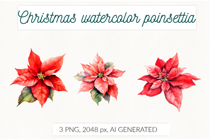 red-poinsettia-watercolor-png-christmas-floral-isolated-illustration