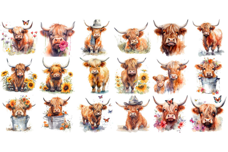 highland-cows-clipart-watercolor-fluffy-calf-in-a-bucket