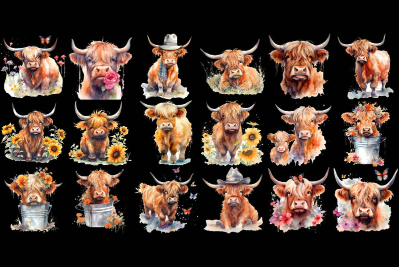 highland-cows-clipart-watercolor-fluffy-calf-in-a-bucket