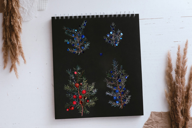 watercolor-juniper-berries-clipart-set