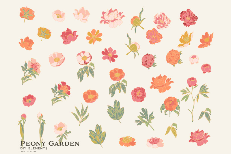 peony-garden-floral-clipart-collection
