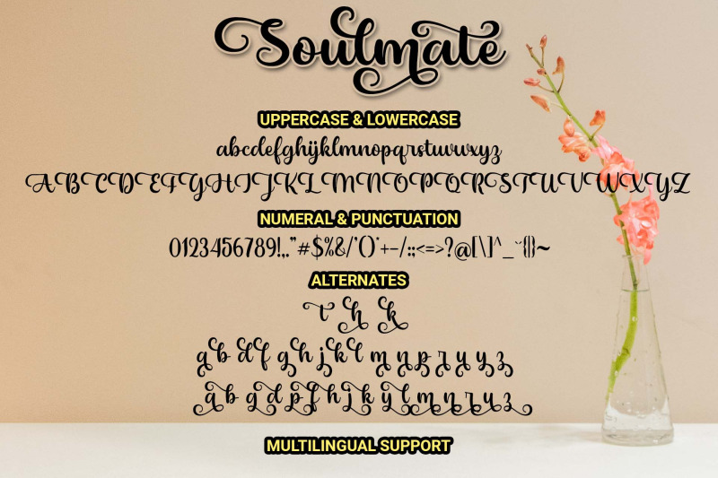 soulmate-a-modern-calligraphy-font