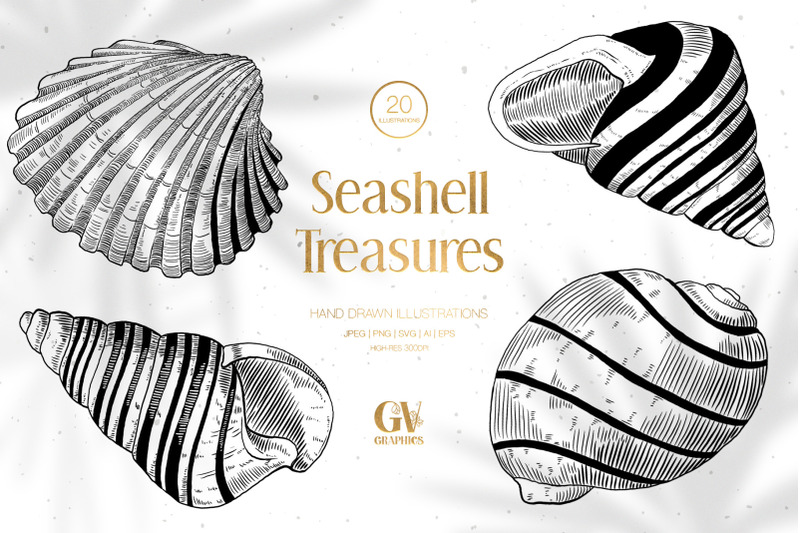 seashell-treasures-illustrations