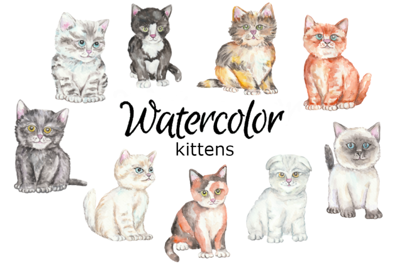 kittens-cats-watercolor-clipart