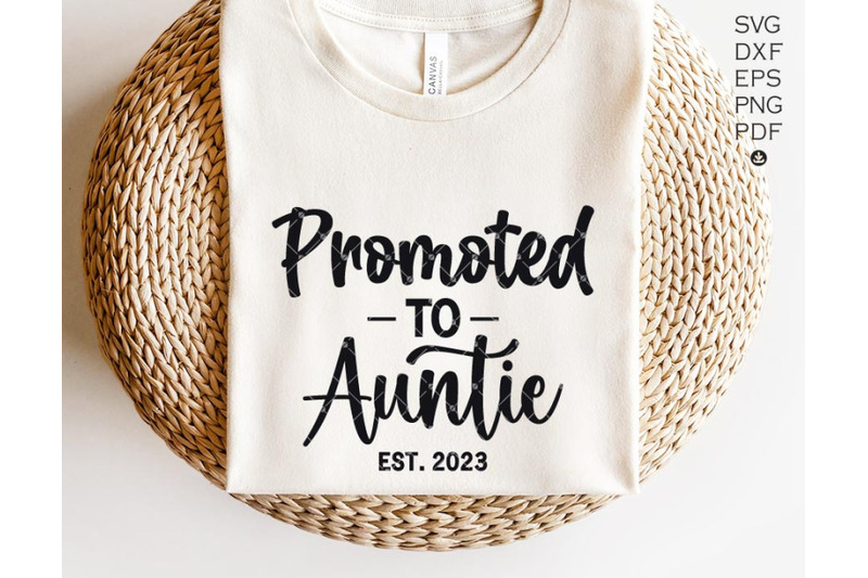 auntie-uncle-est-2023-shirt-promoted-to-auntie-promoted-to-uncle