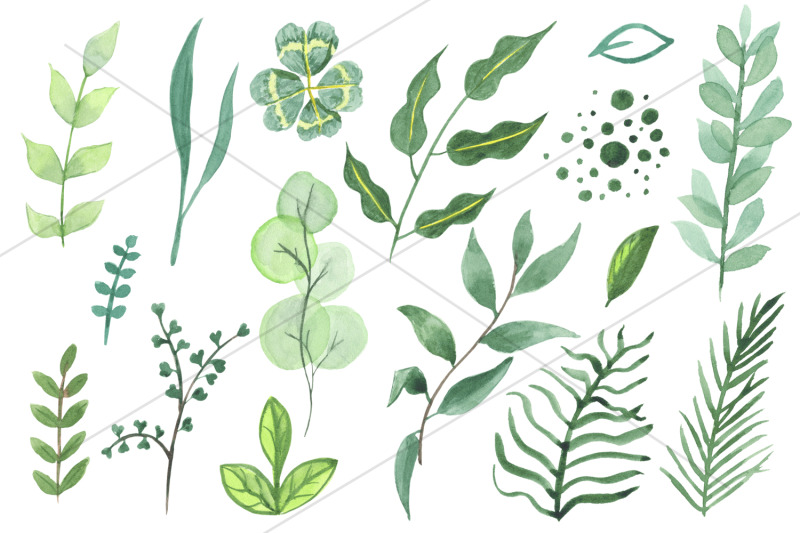 watercolor-green-leaves-clipart-isolated-elements-png
