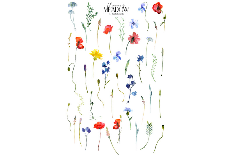 watercolor-meadow-flowers