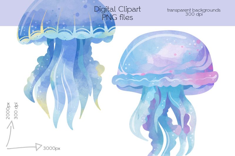 jellyfish-clipart-png-files