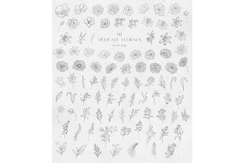 delicate-wedding-design-floral-vector-collection-line-art