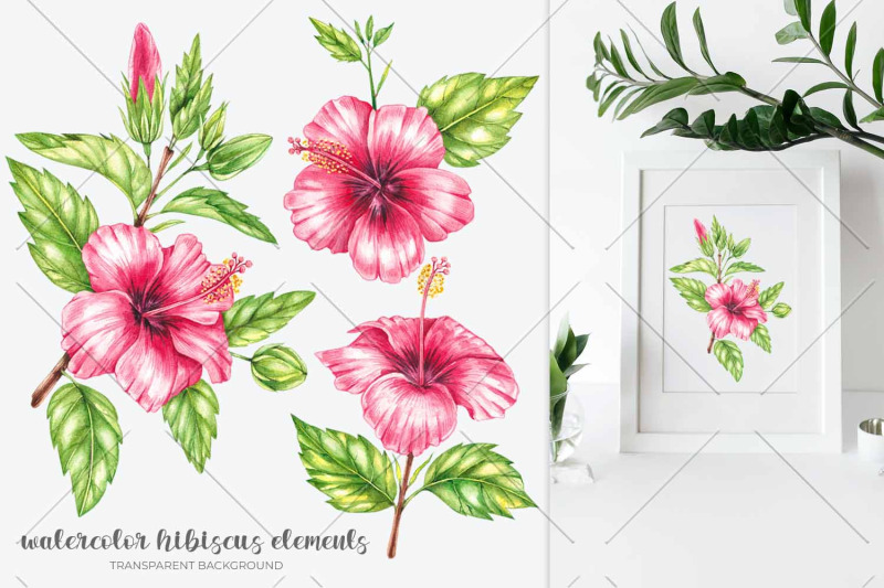 watercolor-hibiscus-watercolor-clipart-png