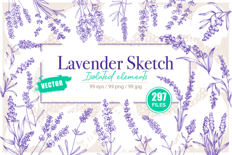 lavender-sketch-illustration