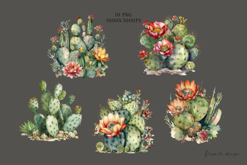 watercolor-blooming-cacti-clipart