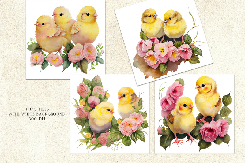 watercolor-cute-floral-chickens