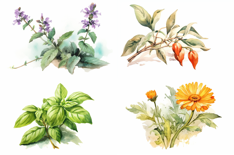 watercolor-botanicals-collection