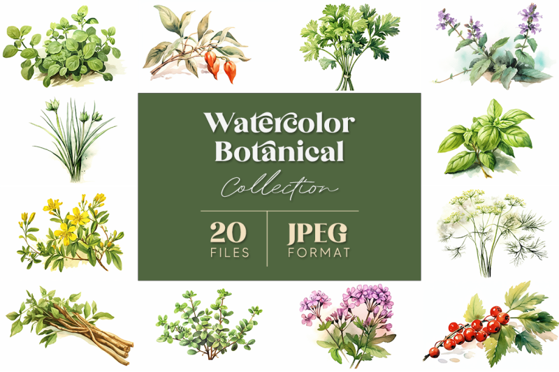 watercolor-botanicals-collection