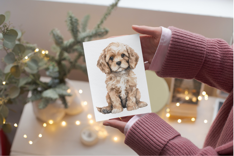 cavapoo-puppies-clipart