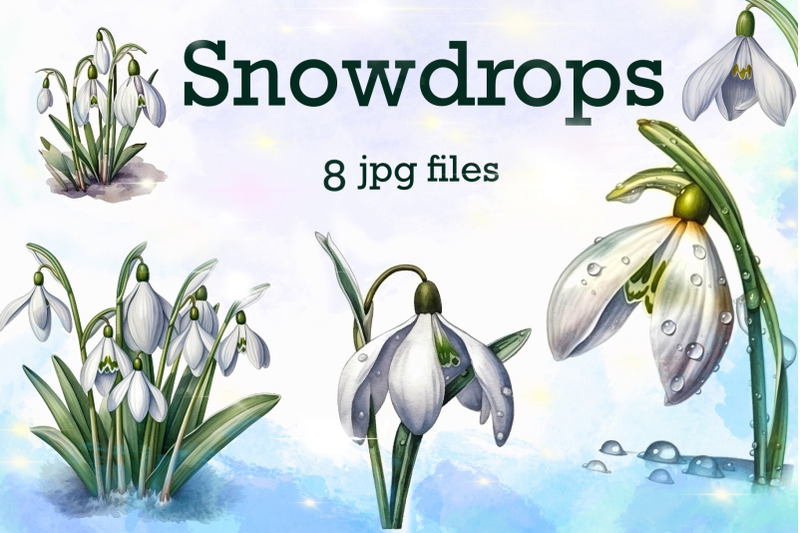 snowdrops