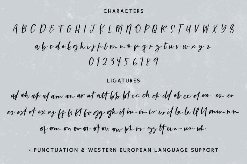 Unbound Script Font By Beck McCormick | TheHungryJPEG