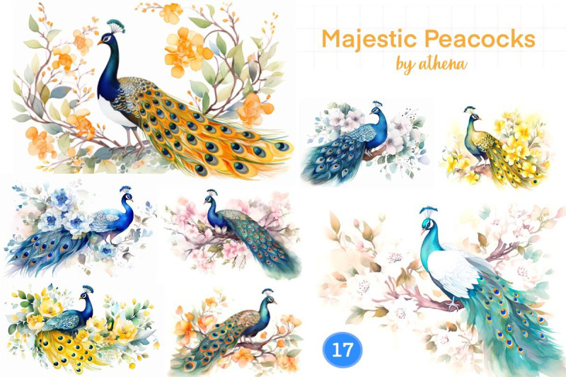 majestic-peacock-compilation