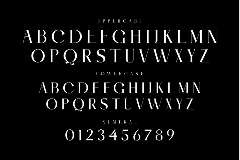 mosce-elegant-serif-typeface