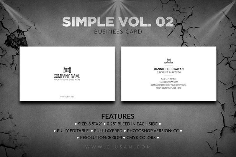 simple-business-card-vol-02
