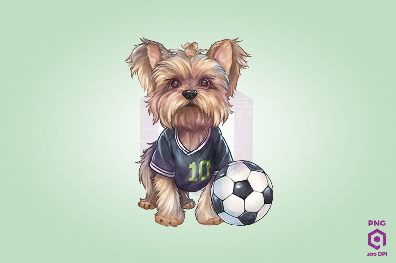 yorkshire-terrier-dog-playing-football